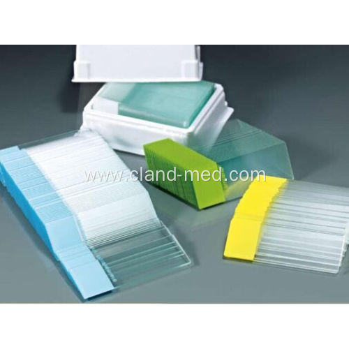 Microscope Slides with Unground Edges